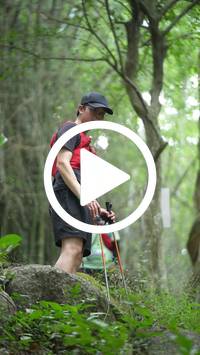 BIB:  <button type="button" onclick="openModal(27935333)" class="btn btn-primary btn-sm float-right" data-toggle="modal" data-target=".modal-high-quality">
                <i class="fa fa-download"></i> Download
                </button>